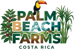 Palm Beach Costa Rica Real Estate