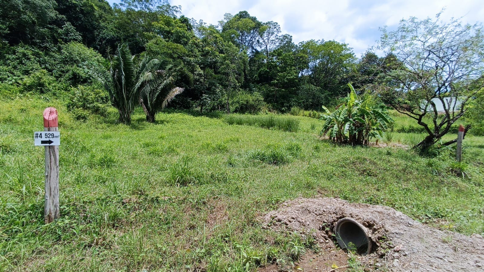 lot bonito - you can to build 70% in this property