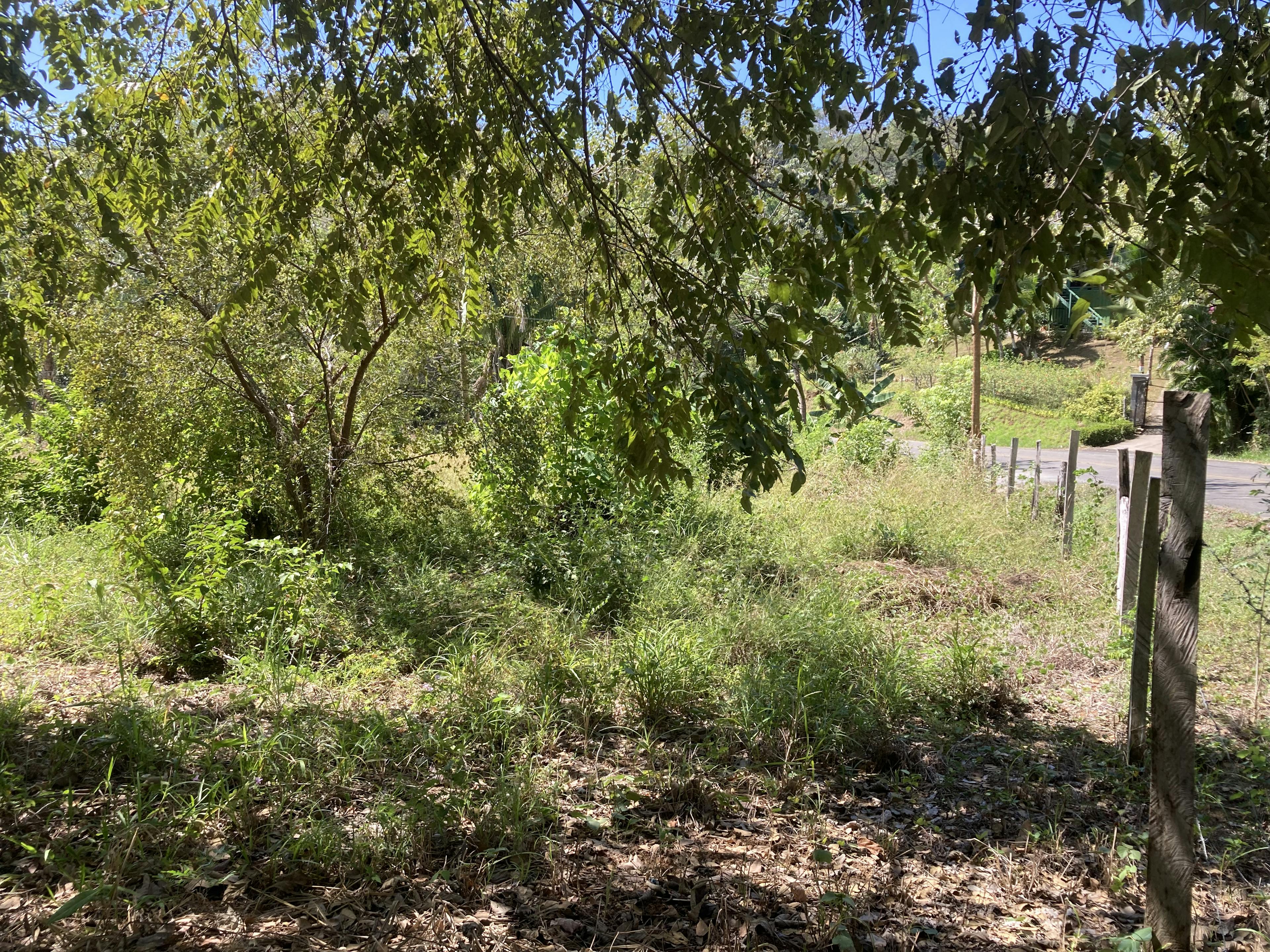 LOT TABACON G - commercial lot ideal for building several houses for arbnb